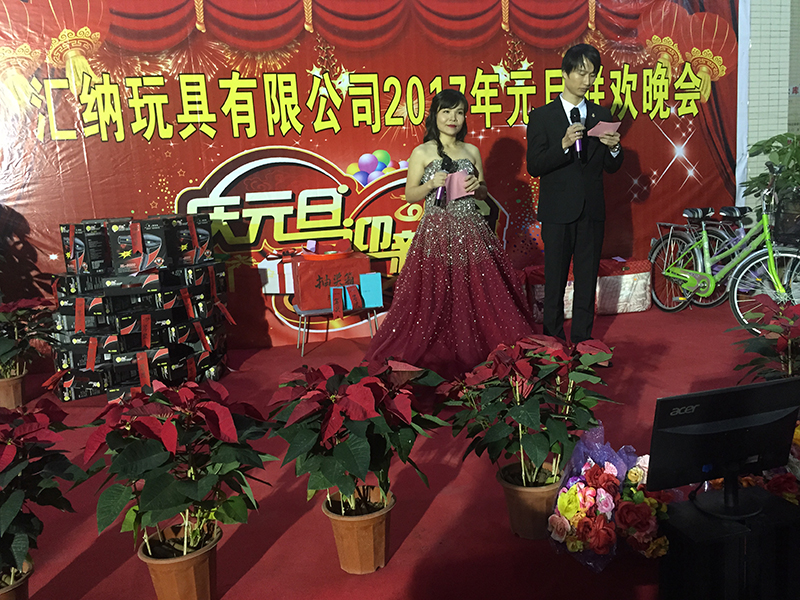 Company Annual Party